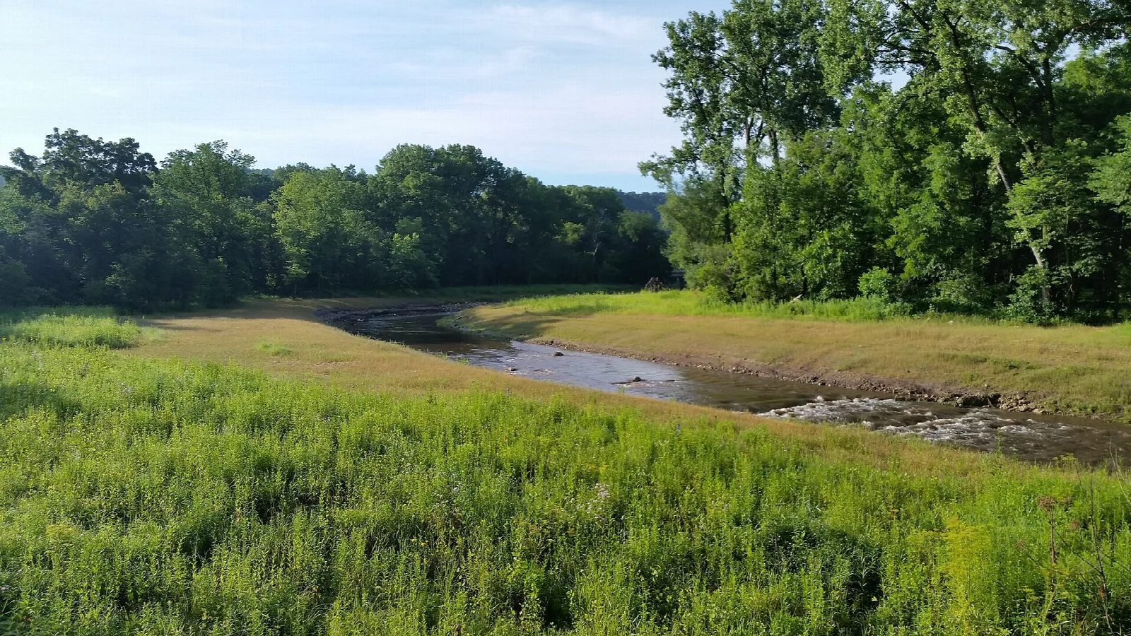 Shallow river bending through green grass and trees