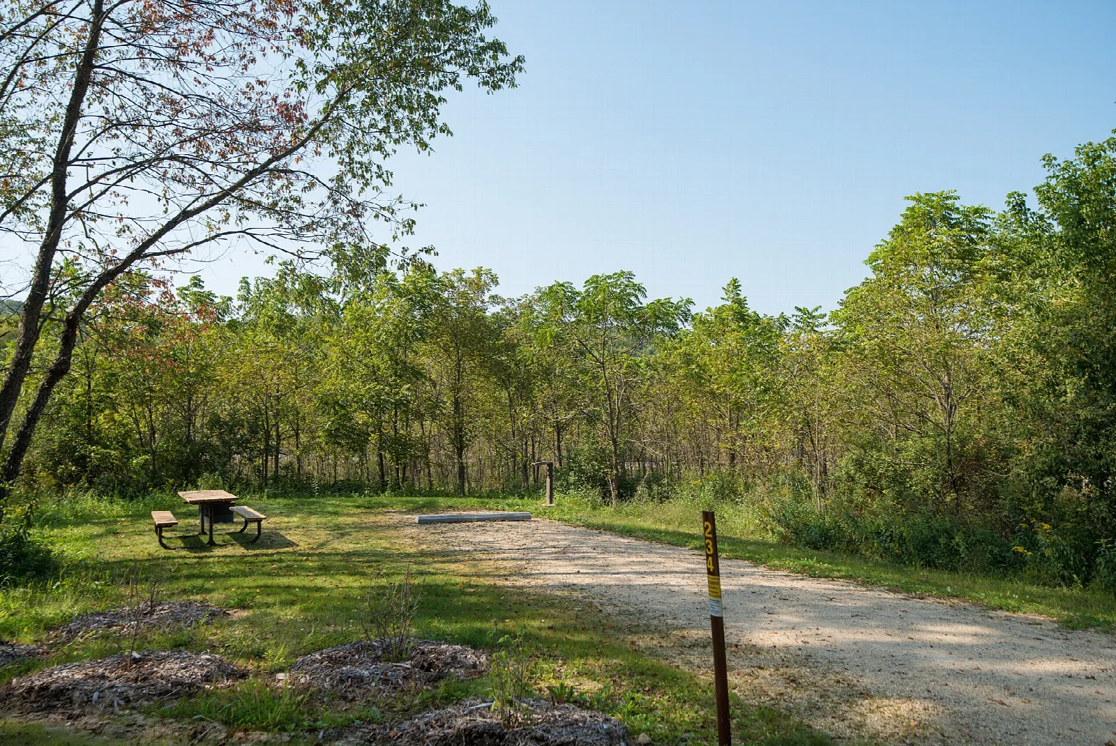 Gravel campsite pad with a picnic table among trees
