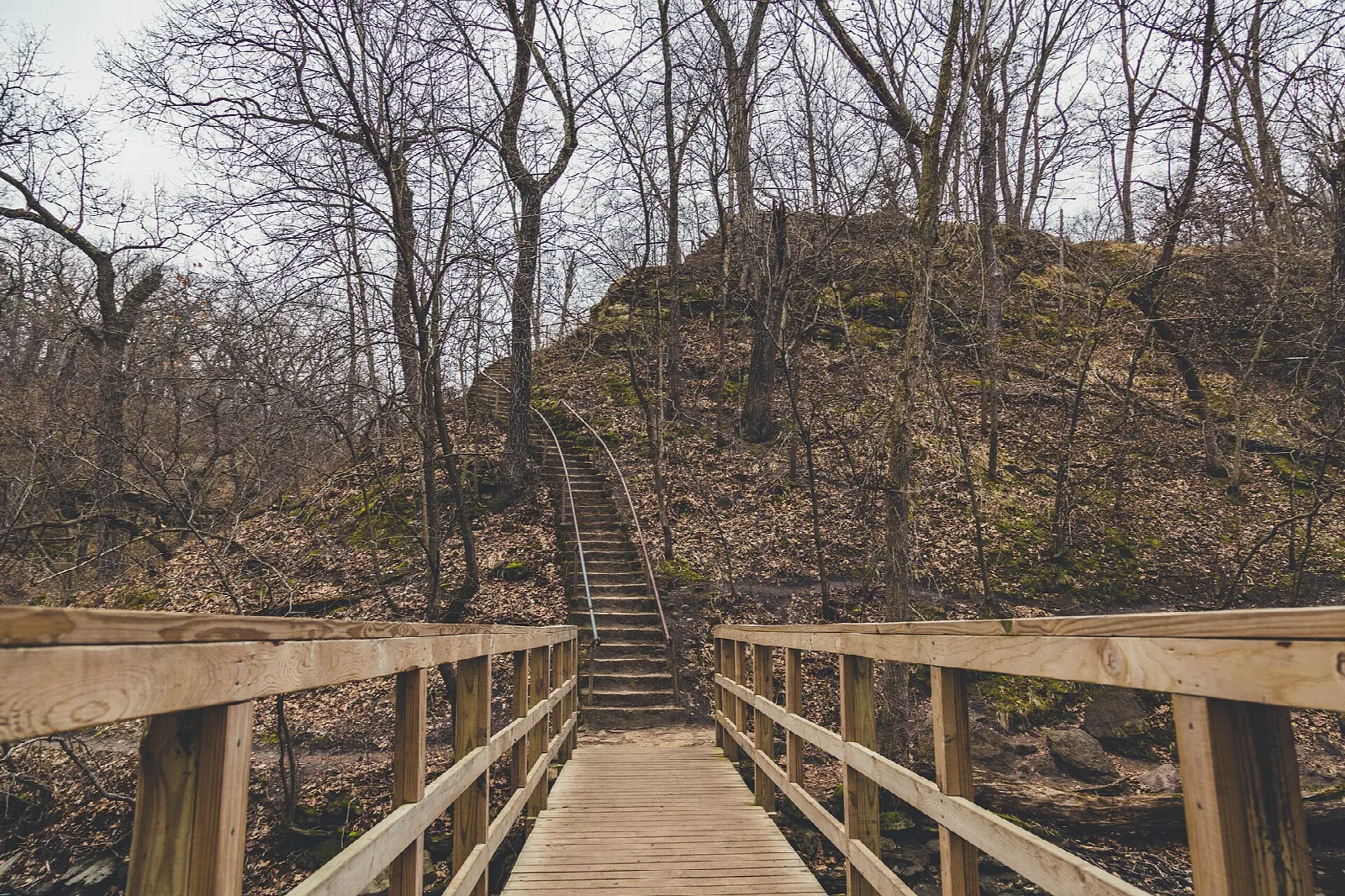 Wooden footbridge leading to a staircase up a wooded hill