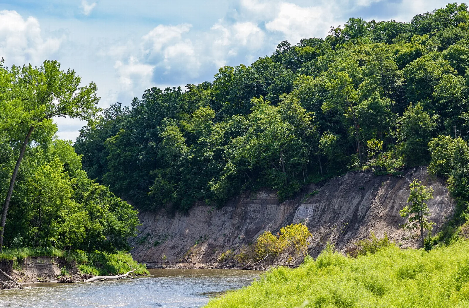 River below a steep wooded bluff with green grass in front