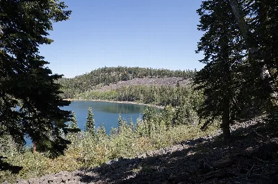 Lassen National Forest
