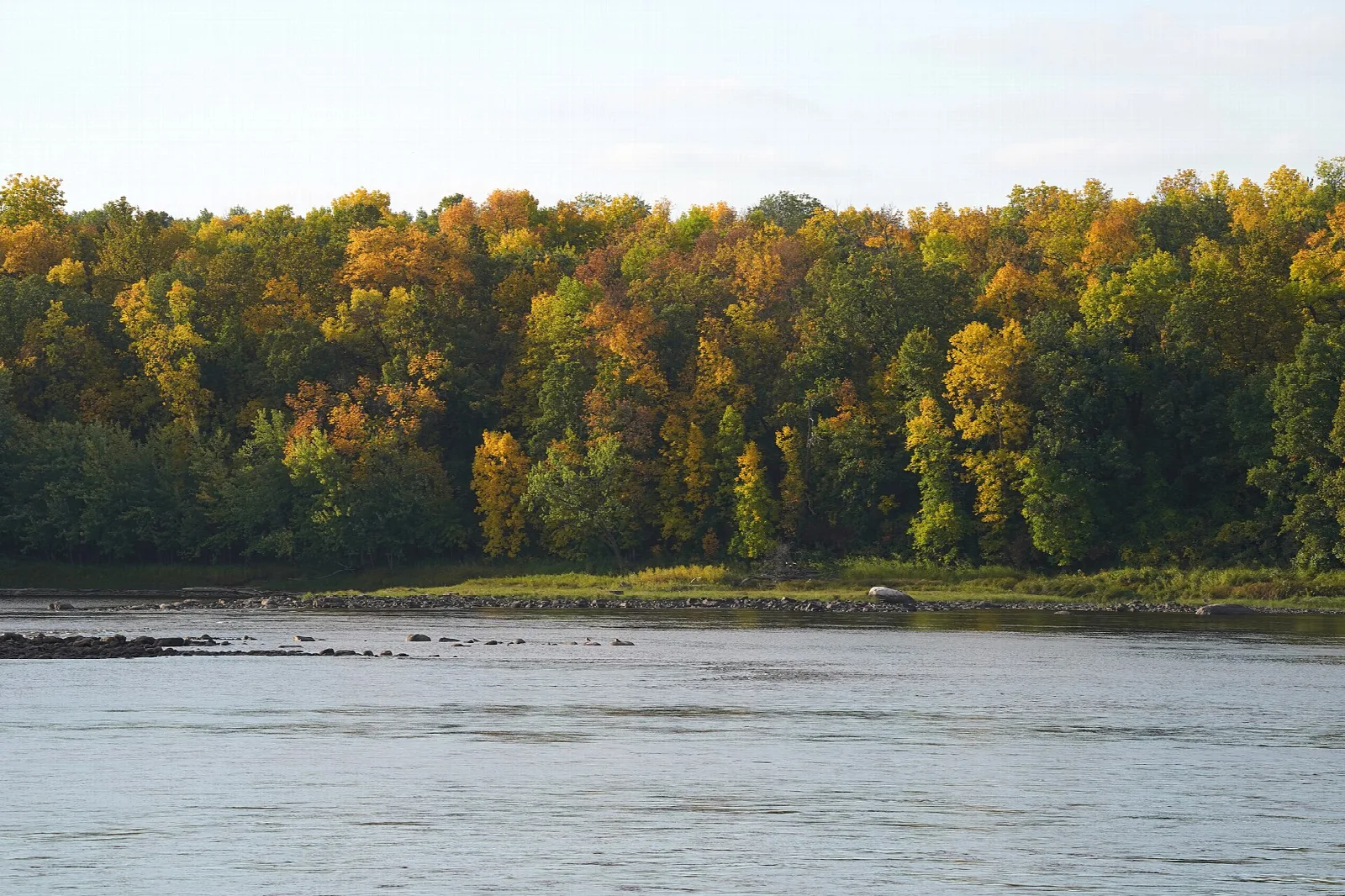 Wide river with a line of fall-colored trees on the far bank