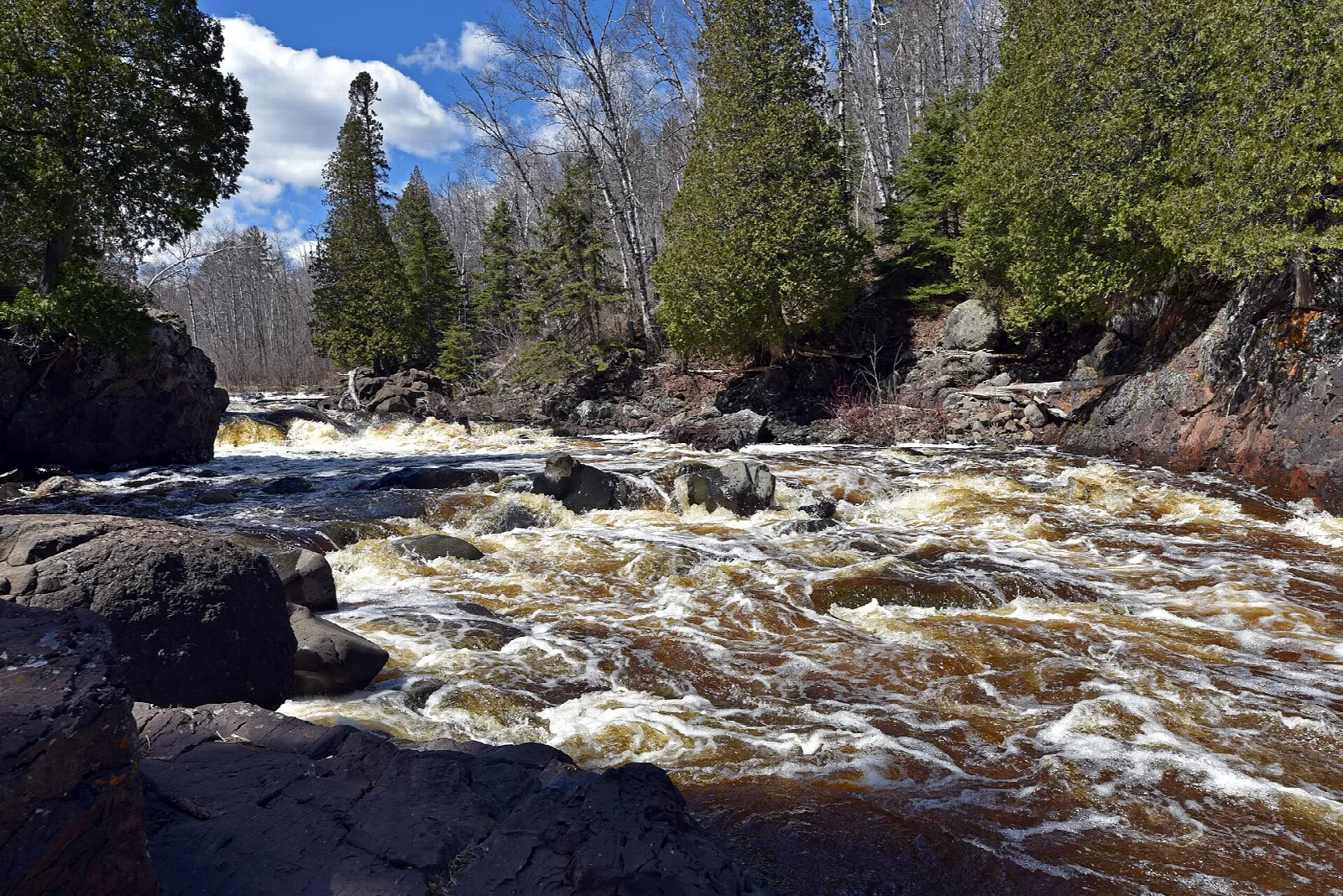 River rushing over dark rocks among evergreens