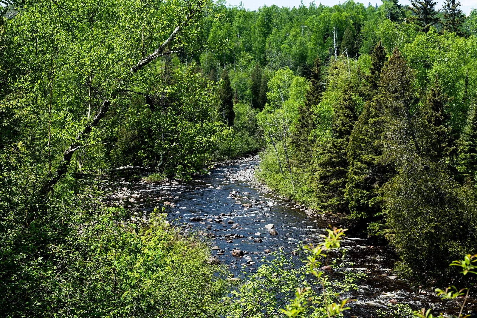 River winding through a green forested valley