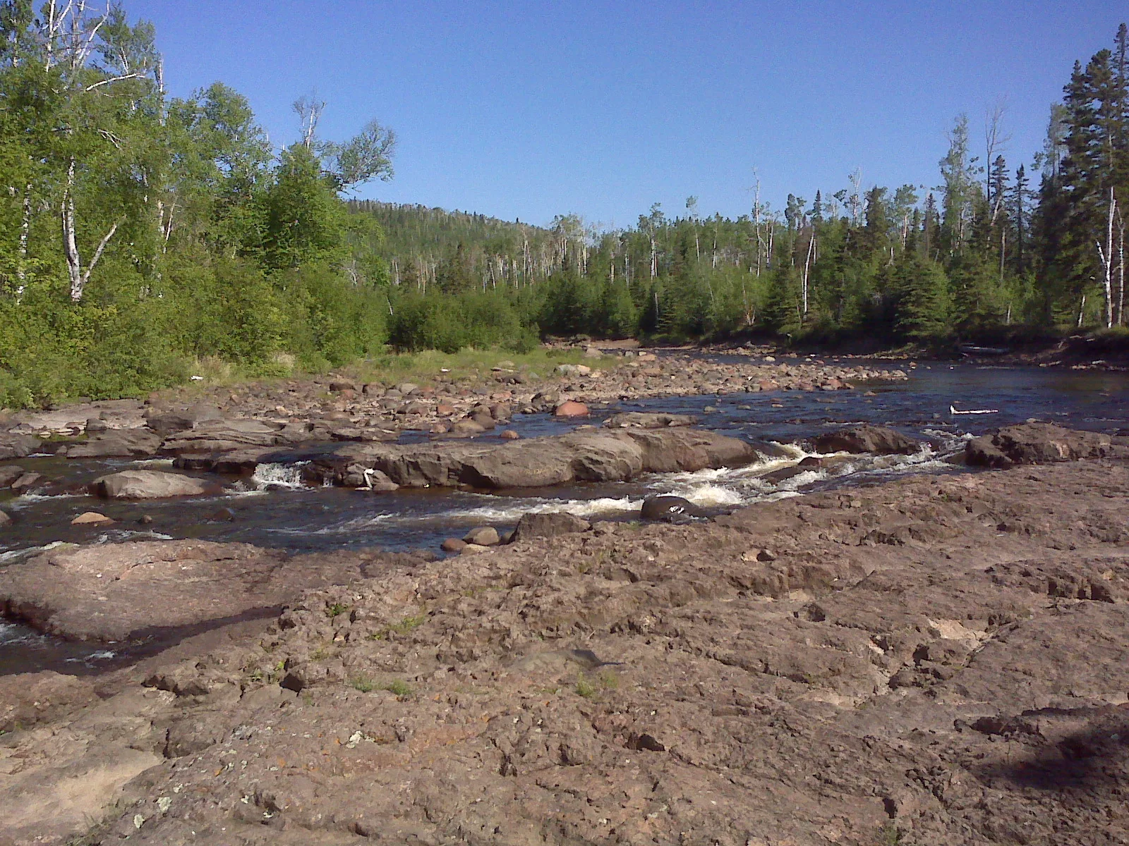 Wide rocky river bed with forest on the far side