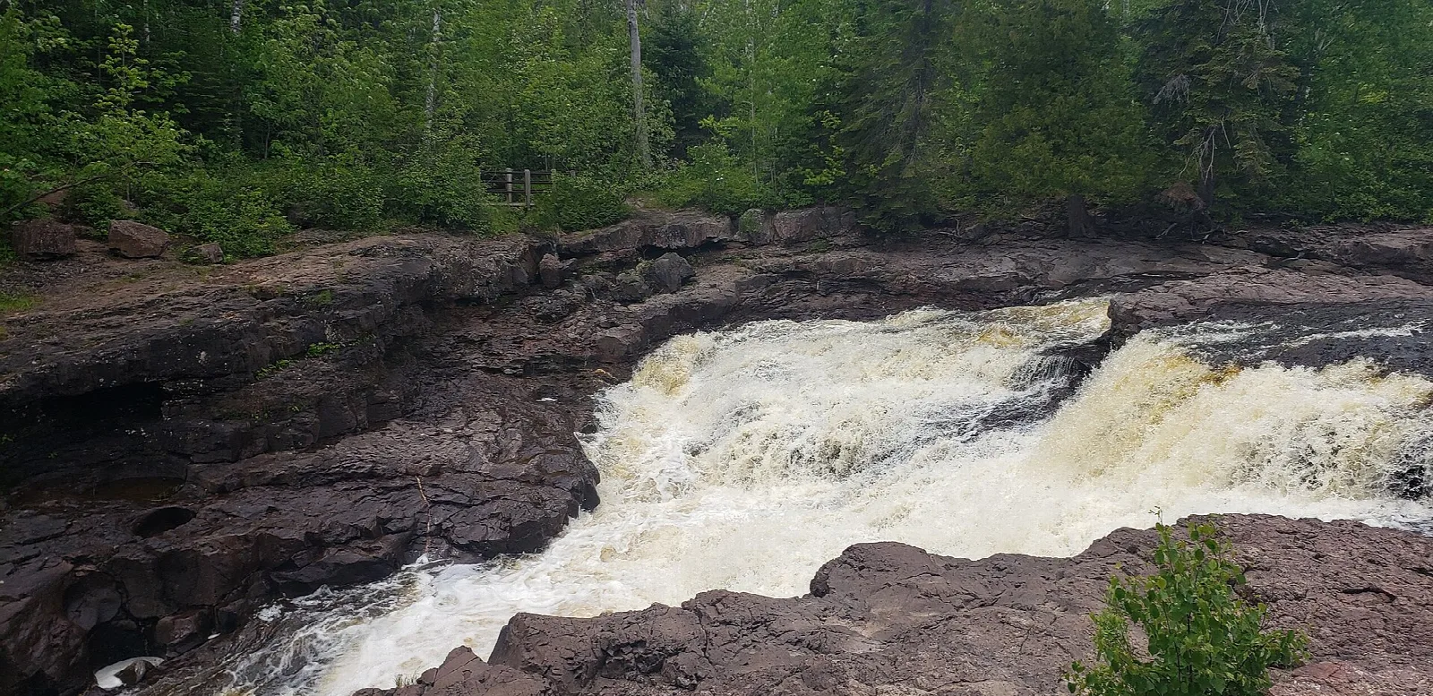 Water tumbling over a dark rock ledge with forest behind