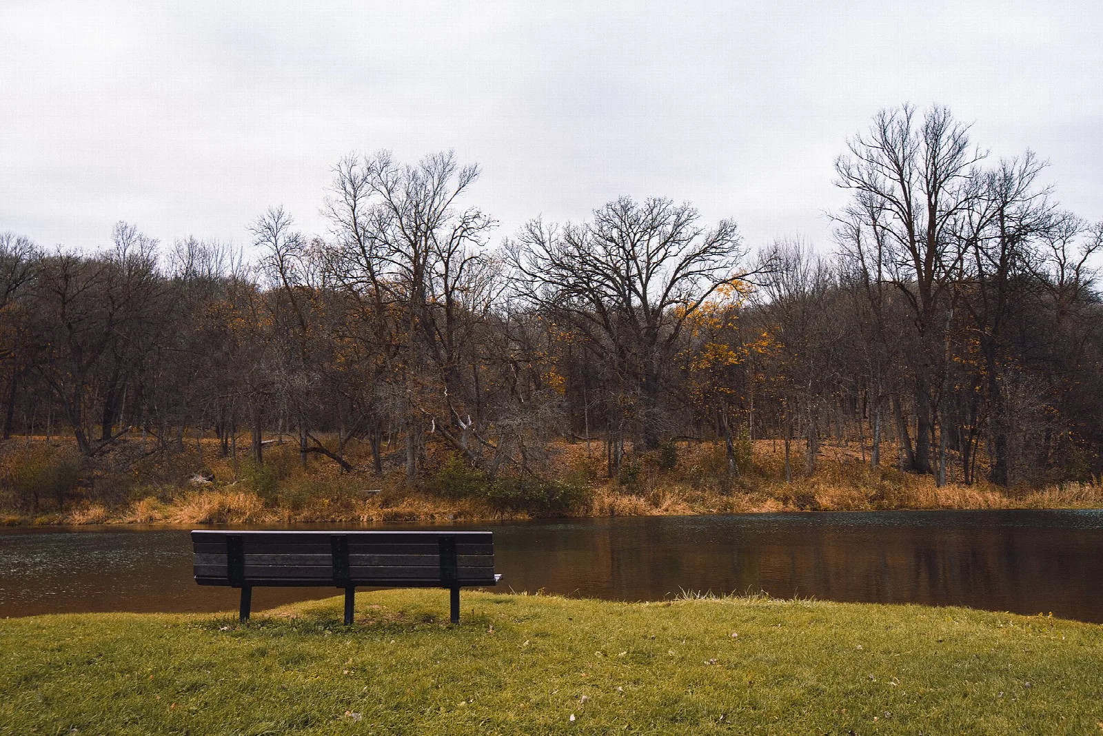 Park bench on a grassy bank beside a pond and bare trees