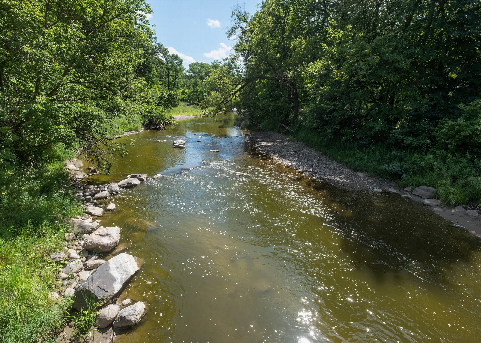 River with stony bank and green trees under blue sky