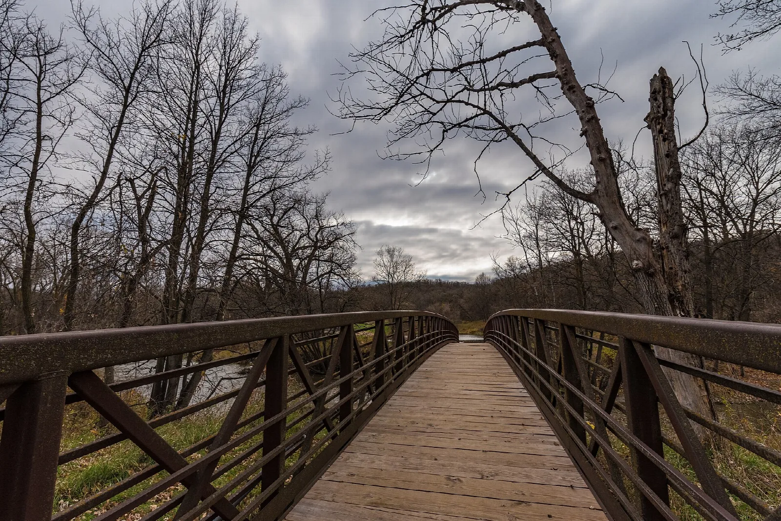 Wooden bridge crossing a river through bare trees