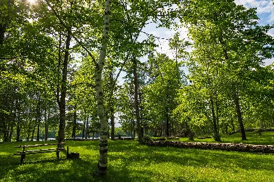Savanna Portage State Park