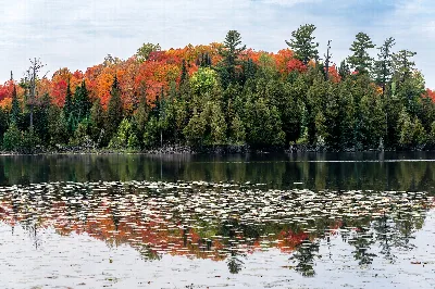 Scenic State Park