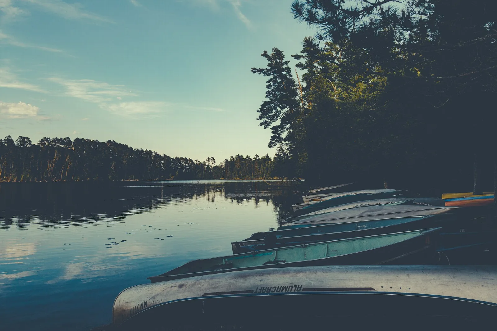 Canoes lined up along the shore of a calm lake at dusk