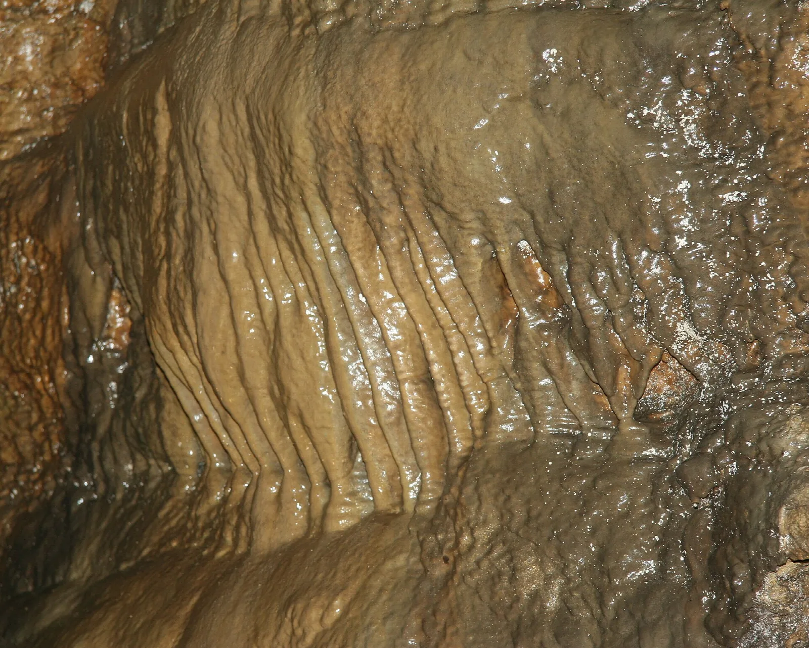 Wet flowstone wall formation inside a cave