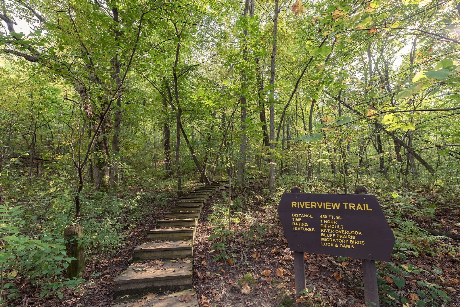 Wooden steps climbing a wooded hillside beside a trail sign