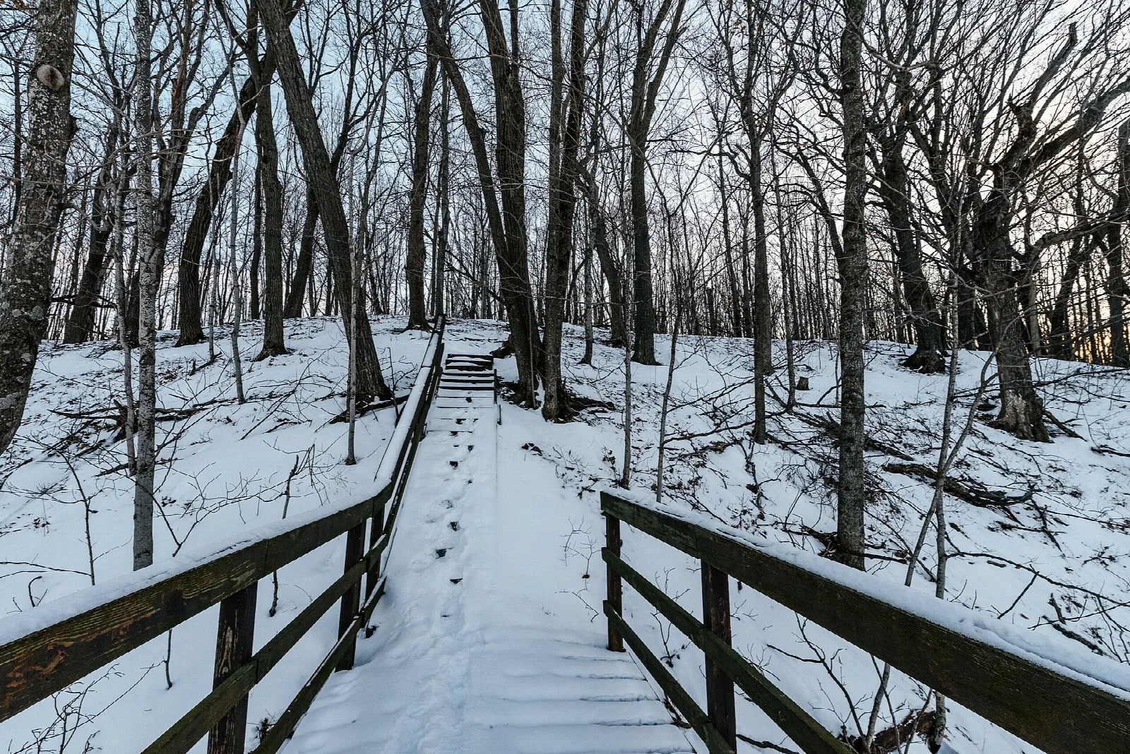 Snowy boardwalk with railings through bare trees