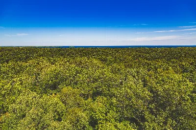 Mille Lacs Kathio State Park