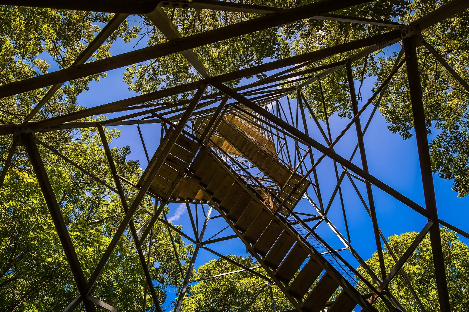Looking up the steel frame and stairs of a fire tower among green trees