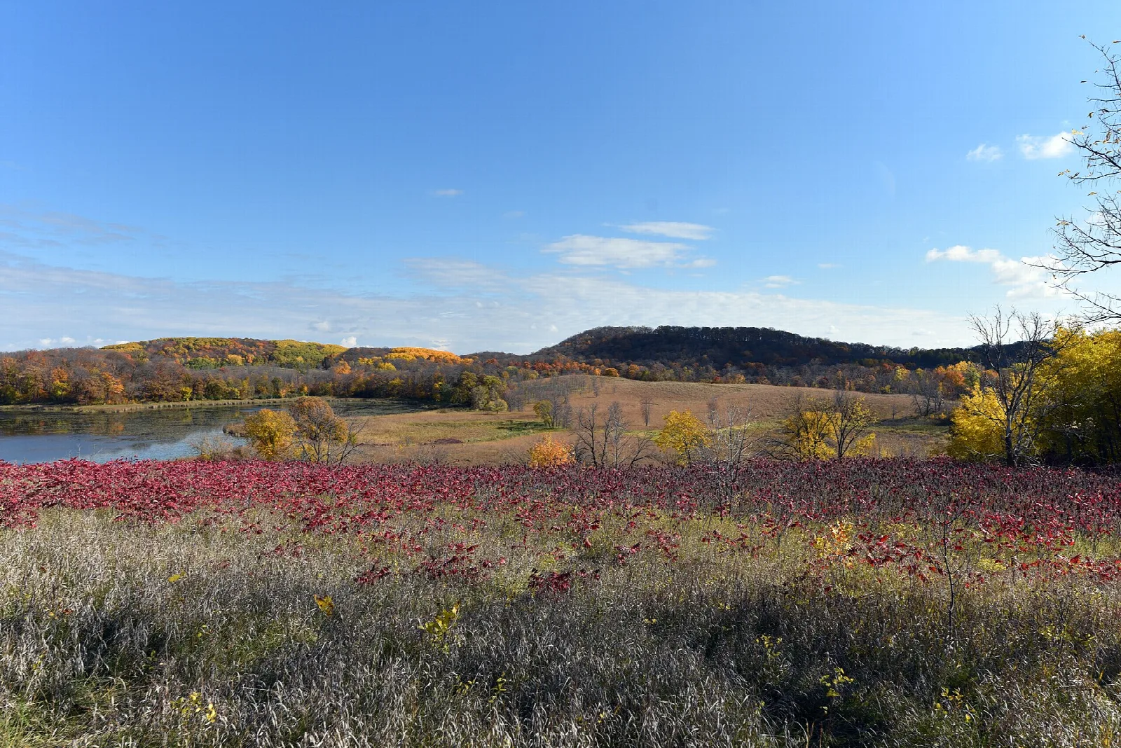 Red autumn brush and a hill above a lake under blue sky