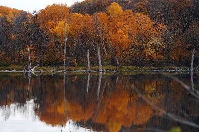 Maplewood State Park