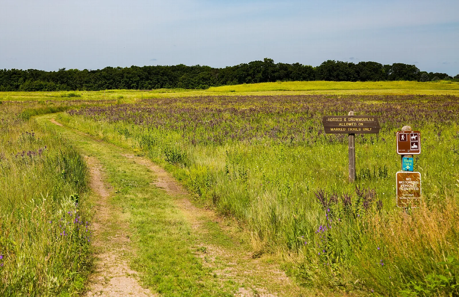 Mown path through a flowering prairie with trail signs