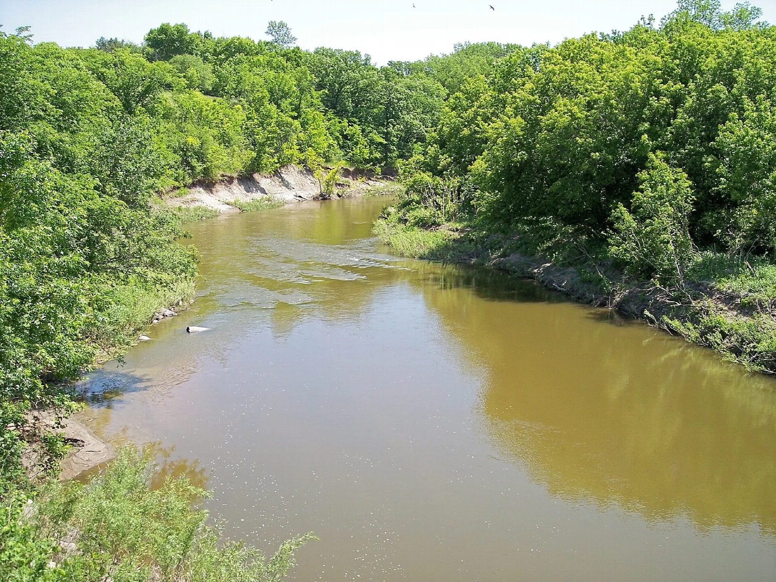 Slow brown river between green wooded banks