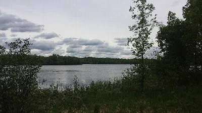 Moose Lake State Park