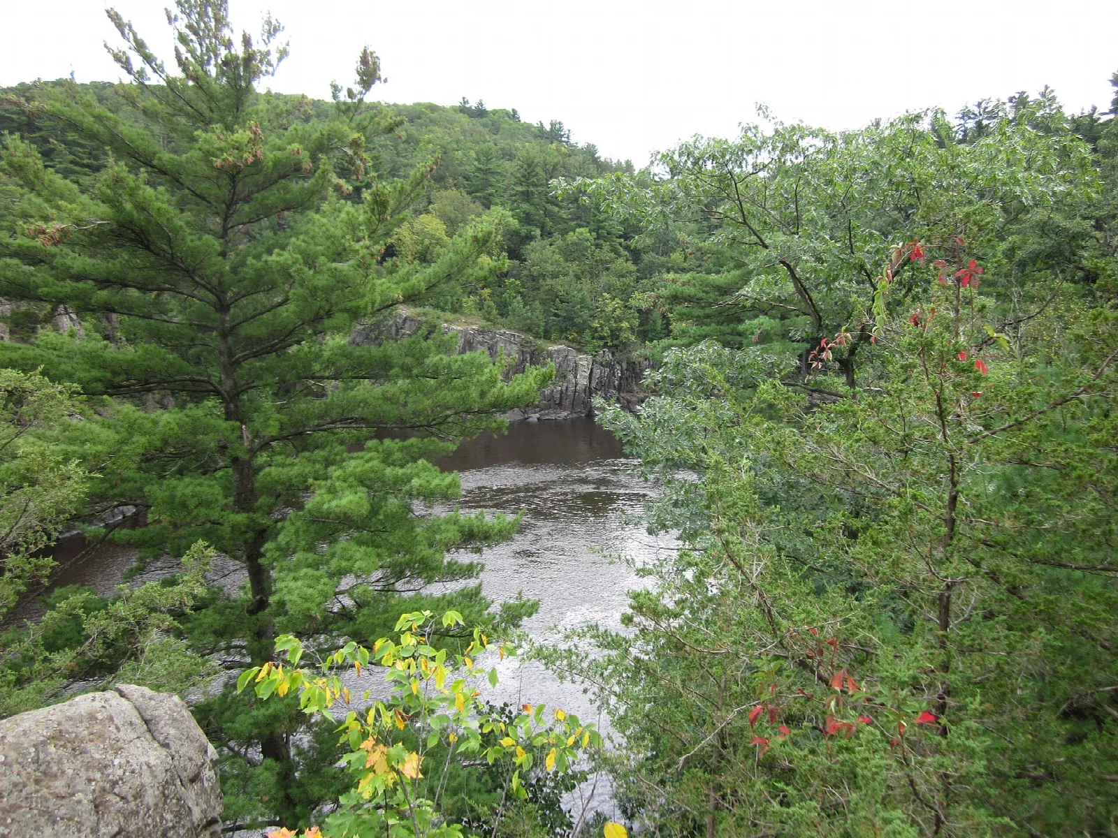 Rocky river gorge seen through green trees