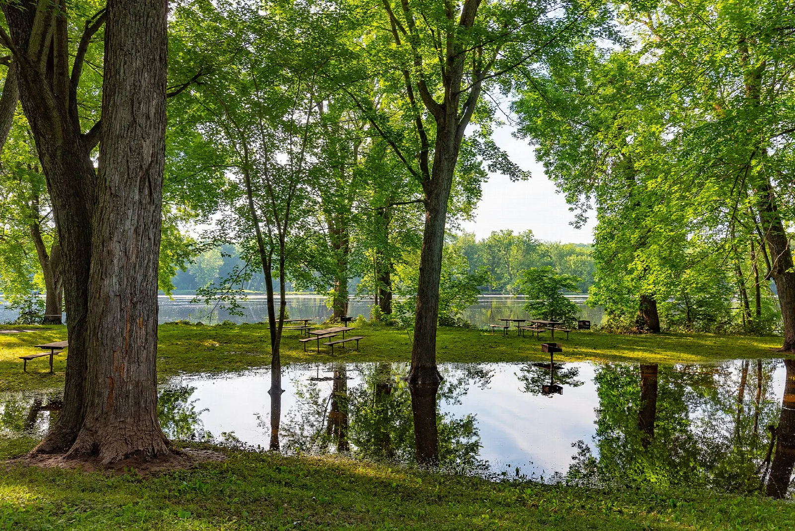 Flood water pooled among trees and picnic tables near a river