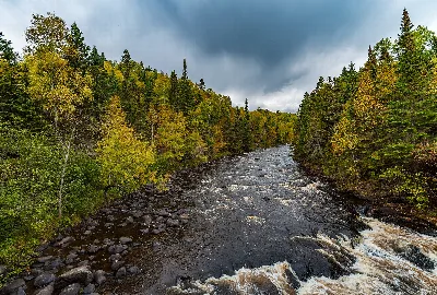 Judge C. R. Magney State Park
