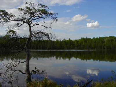 Lake Bemidji State Park
