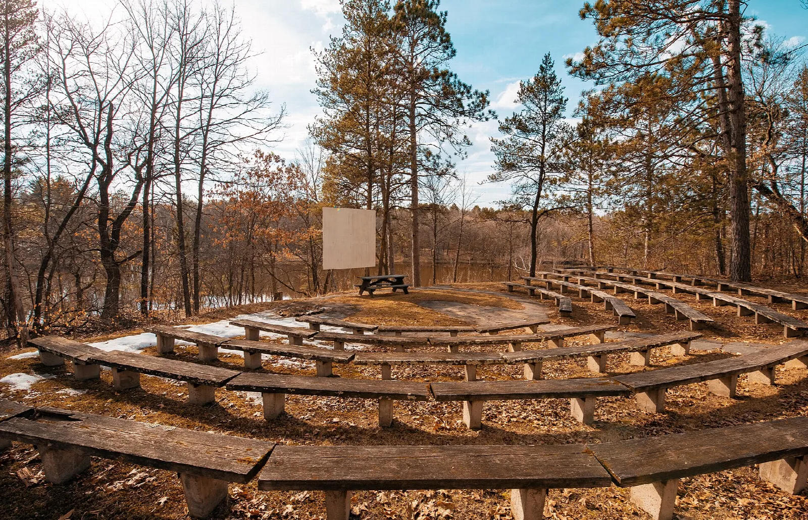 Wooden bench seating in a half circle in a pine woodland