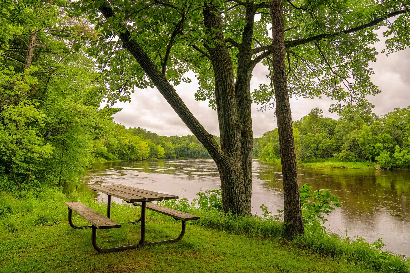 Picnic table on a grassy bank above a river with green trees