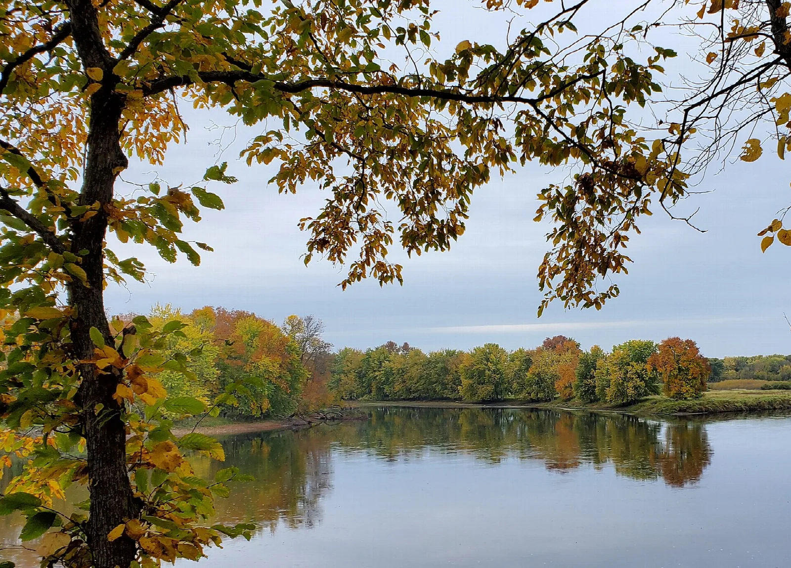 Calm river with autumn trees along the far bank