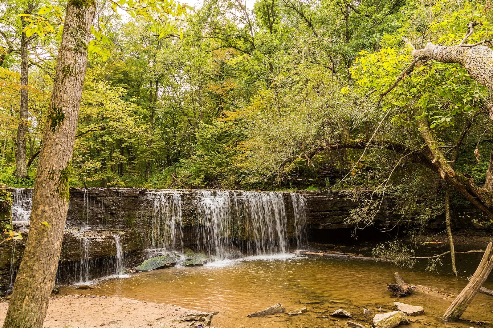 Low waterfall over a ledge into a brown pool, surrounded by green trees