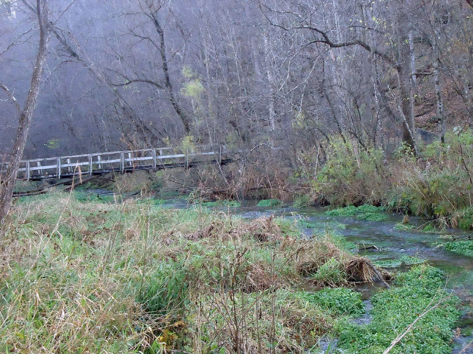 Wooden bridge crossing a grassy stream bottom