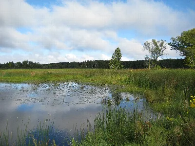 Father Hennepin State Park