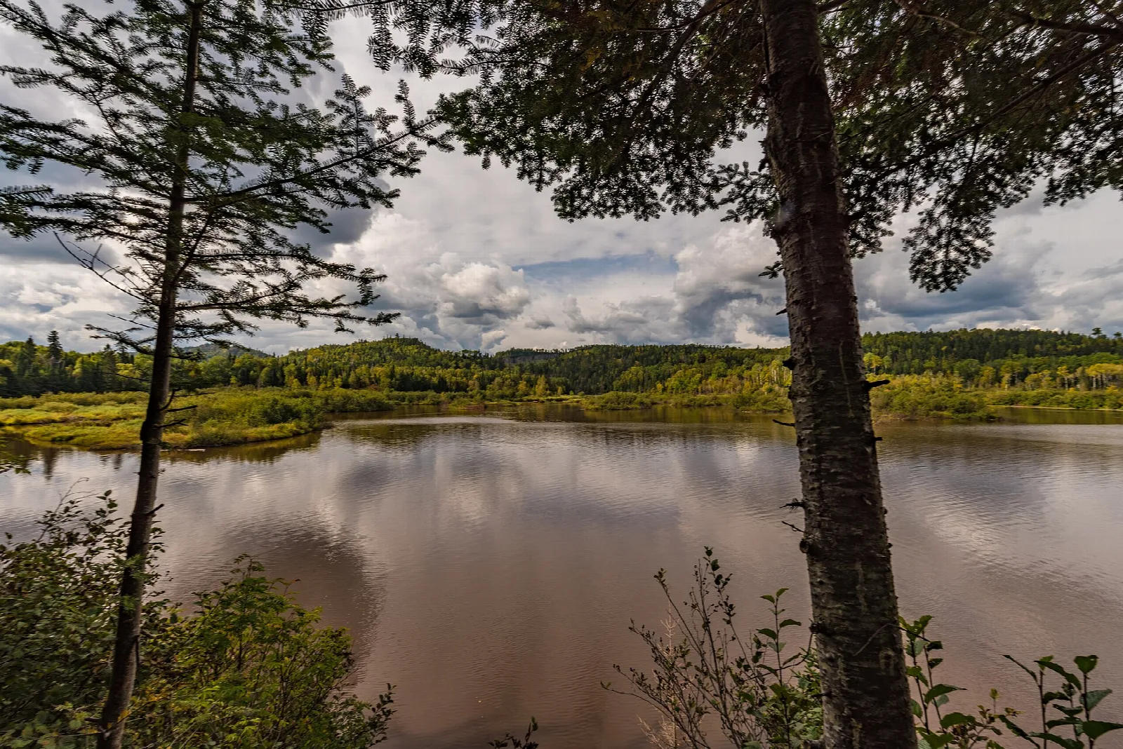 Calm river bend with trees under cloudy sky