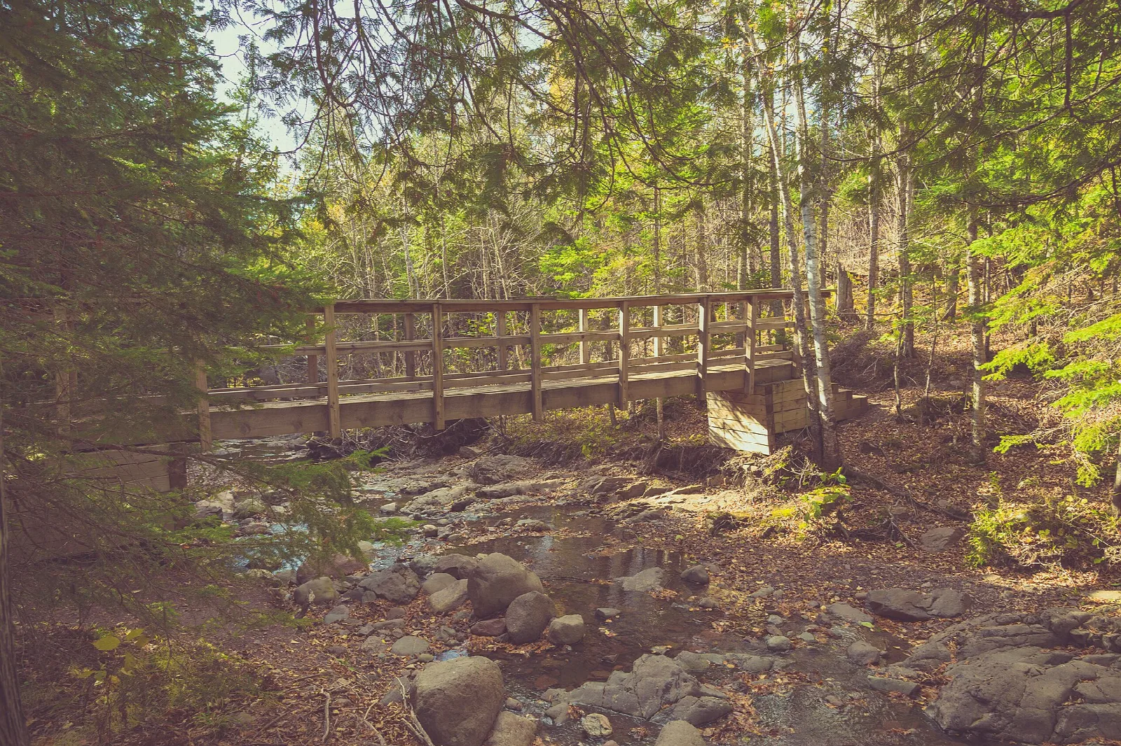 Wooden footbridge over a rocky stream in a birch forest
