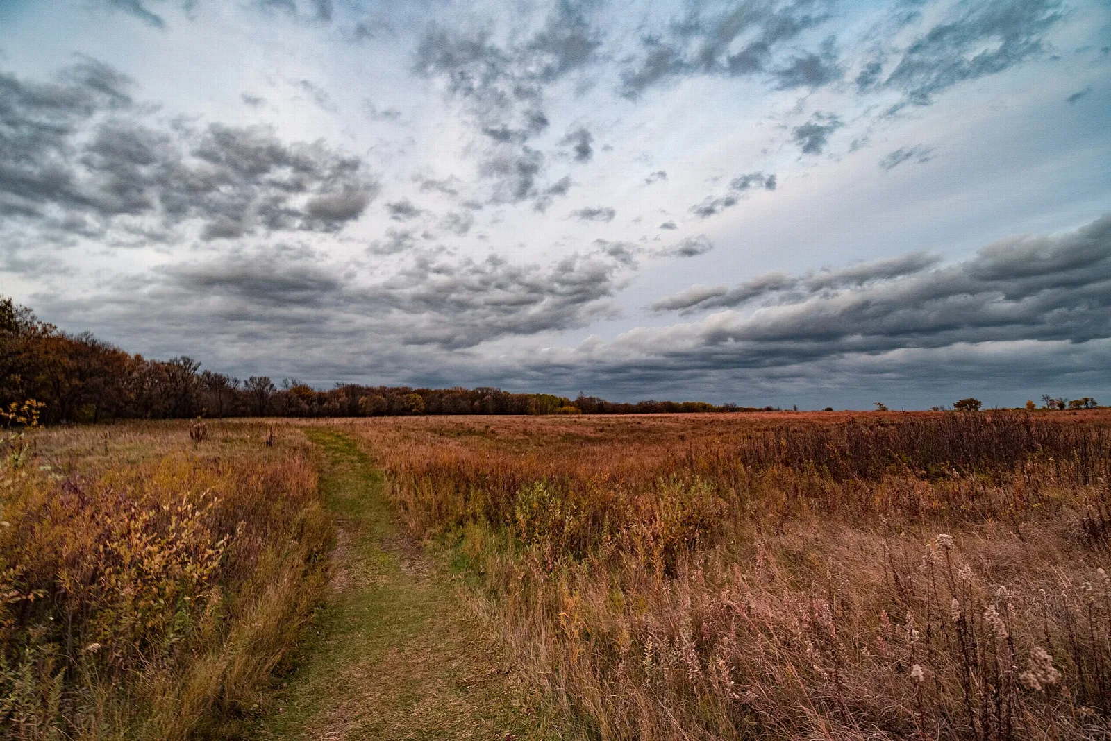 Mown path through tall autumn prairie grass