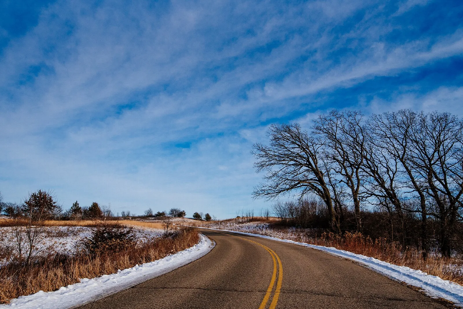 Road curving through dry grass and bare trees under blue sky
