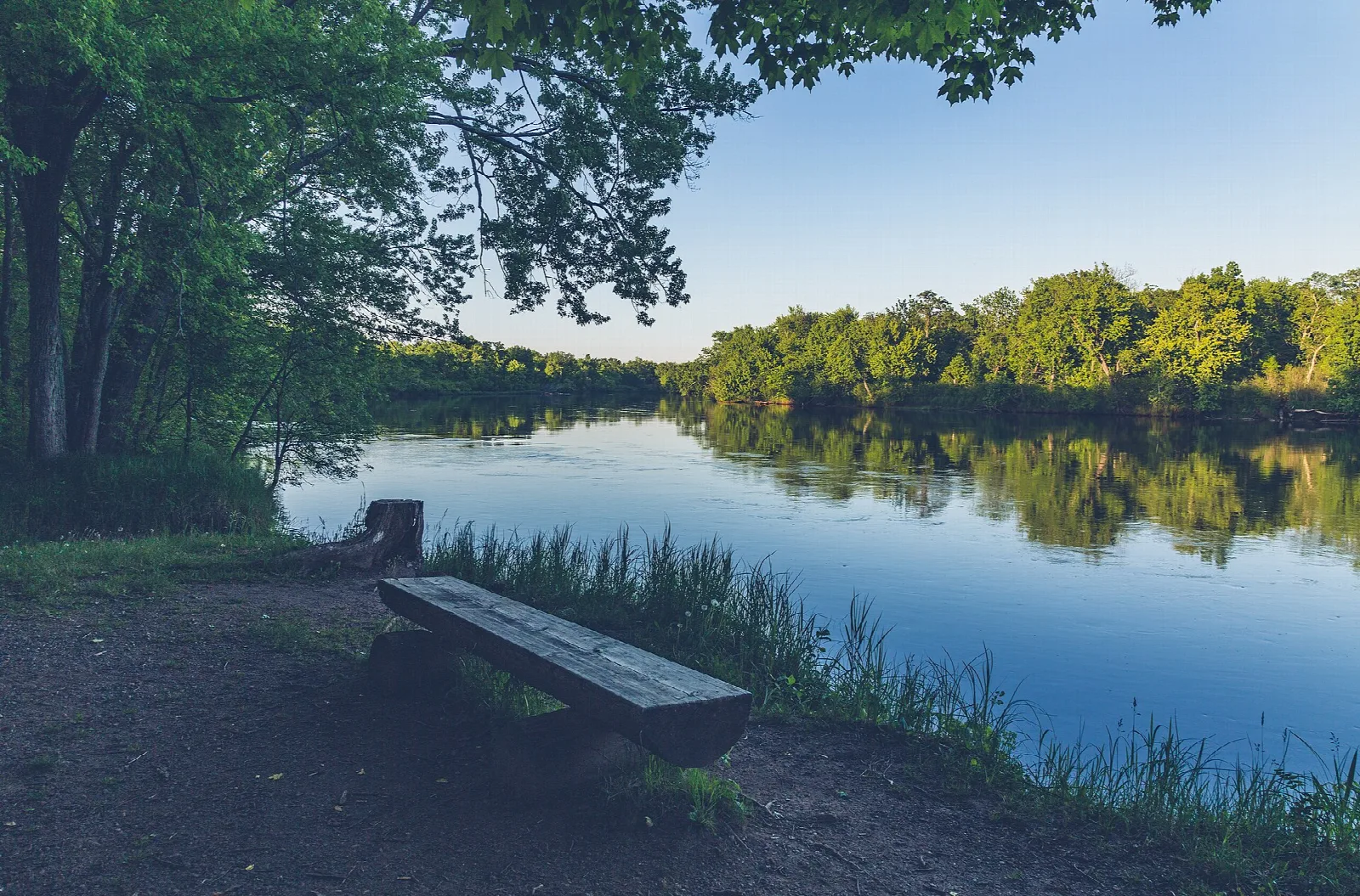 Wooden bench by a river lined with green trees