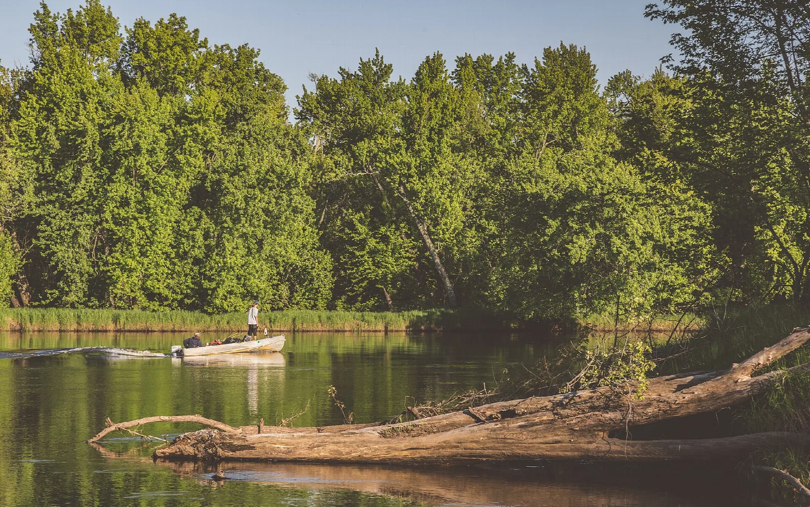 Small fishing boat on a river lined with green trees