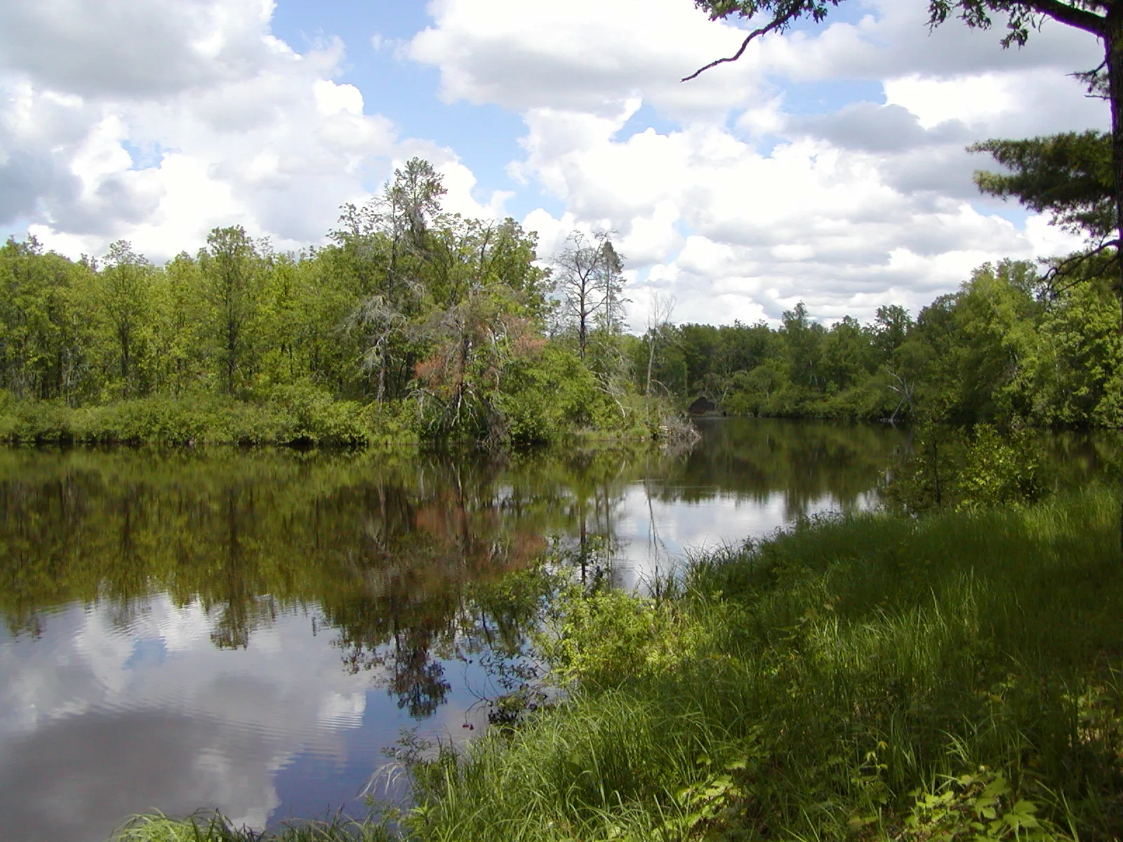 Calm water with reflected clouds and green grassy bank