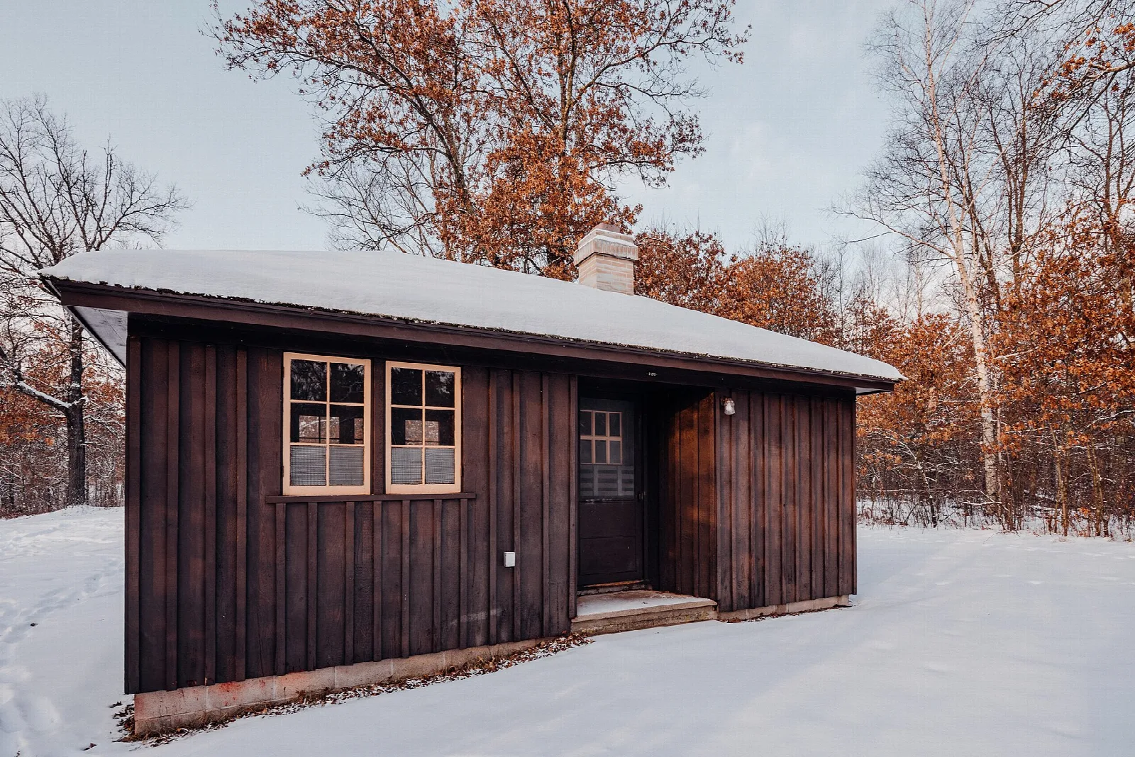 Brown wooden cabin with a snowy roof among trees