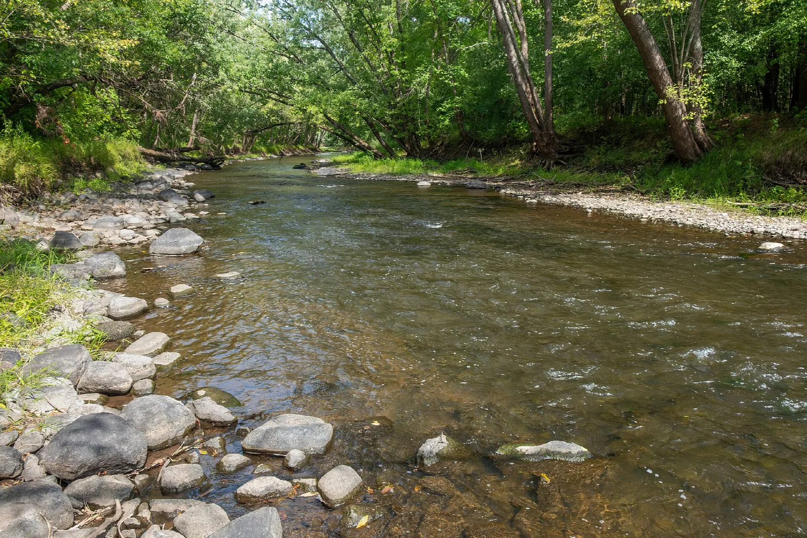 Rocky river shallows between green banks