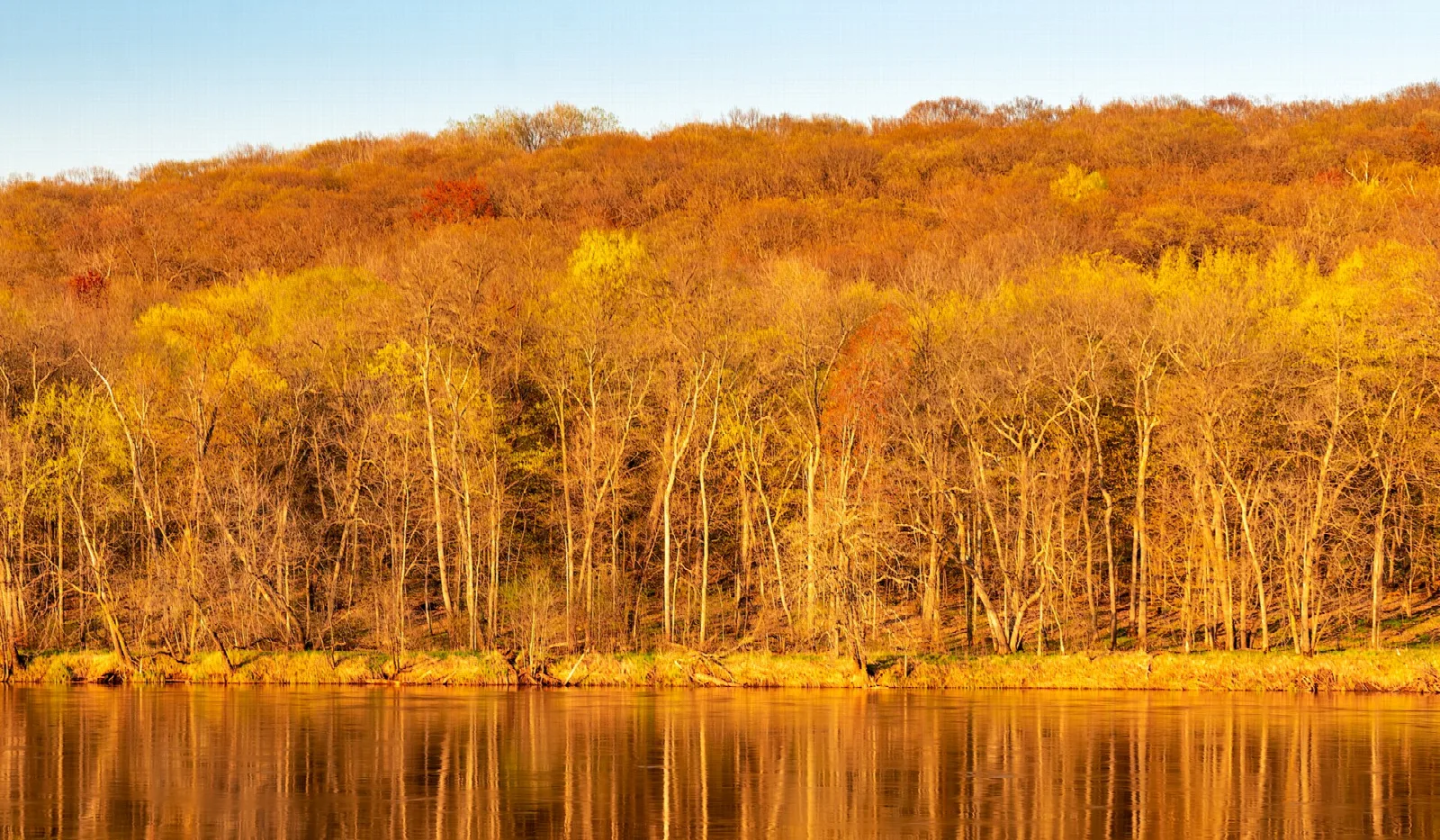 Autumn-colored hillside reflected in calm river water