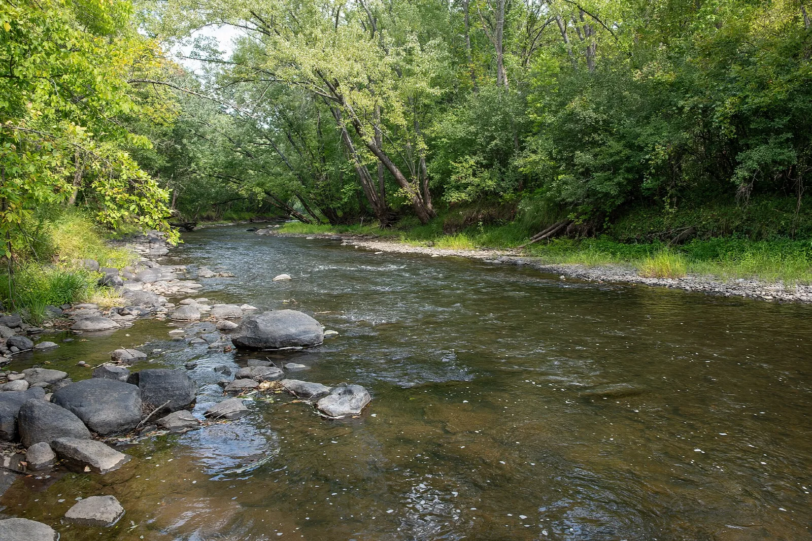 Shallow river over stones with green banks