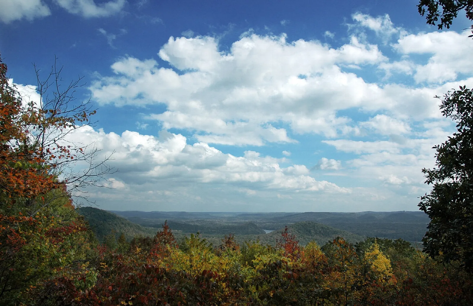 Autumn-colored trees below a wide valley view and big white clouds