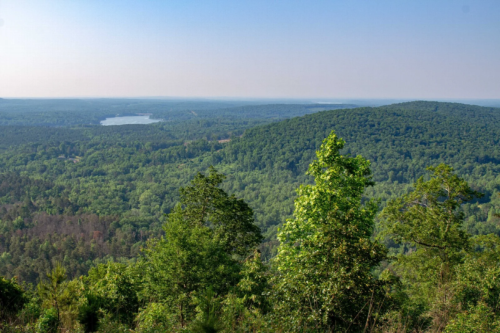 Wide view over forested hills with a lake in the distance