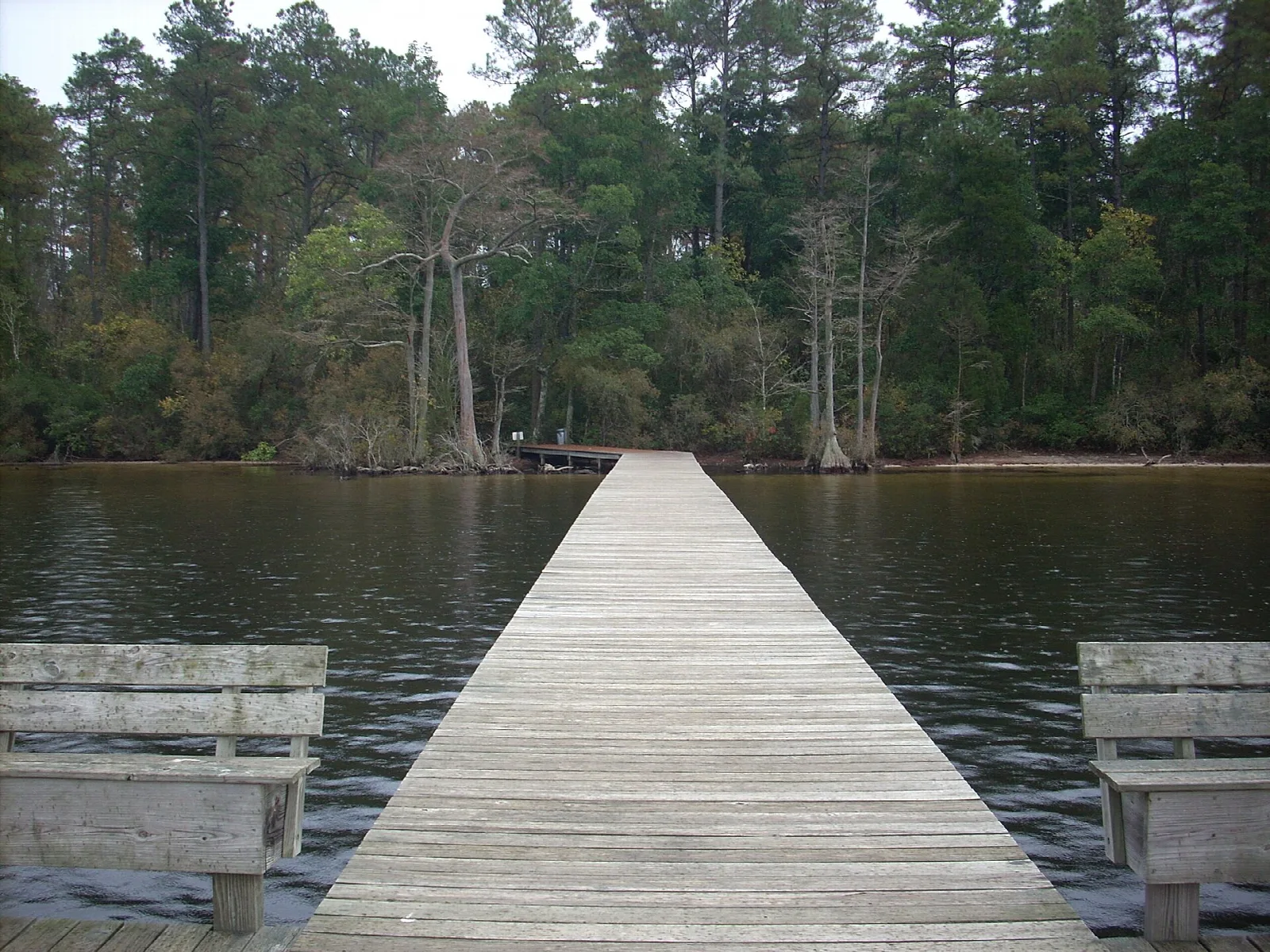 Wooden fishing pier running out over dark water toward trees
